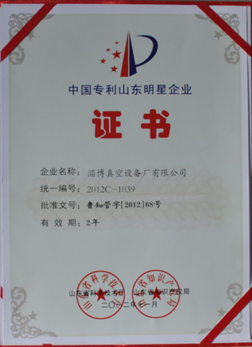 公司被山東省科學技術(shù)廳，山東省知識產(chǎn)權(quán)局評為中國專利山東明星企業(yè)